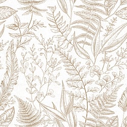 Galerie Wallcoverings Product Code 18562 - Into The Wild Wallpaper Collection - Beige Colours - Botanical Design