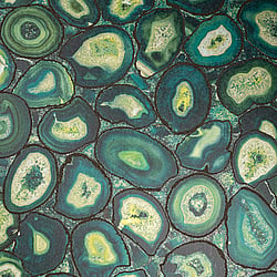 Galerie Wallcoverings Product Code 51218 - Pepper Wallpaper Collection - Green Pepper Colours - Agate Design