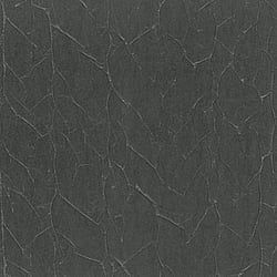 Galerie Wallcoverings Product Code 63418 - Natural Opulence Wallpaper Collection - Black Colours - Paper Geo Design