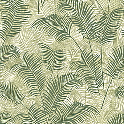 Galerie Wallcoverings Product Code BL22763 - Botanica Wallpaper Collection - Green Colours - Tropical Leaves Design