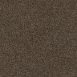 Galerie Wallcoverings Product Code TA25025 - Shades Of Colour Wallpaper Collection - brown Colours - Leather Plain Design